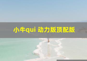 小牛qui 动力版顶配版